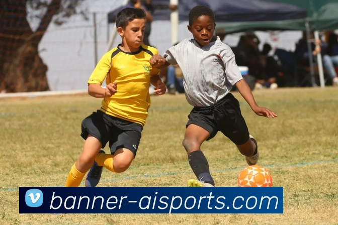 爱体育平台生态图